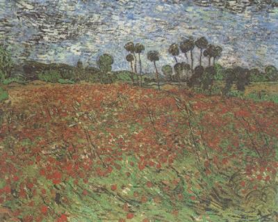 Vincent Van Gogh Field with Poppies (nn04)